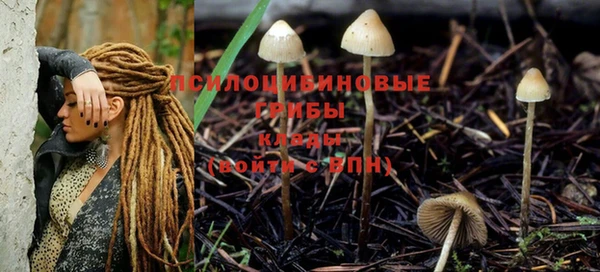 наркотики Горняк