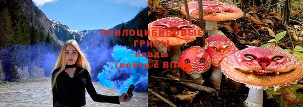 трава Горно-Алтайск